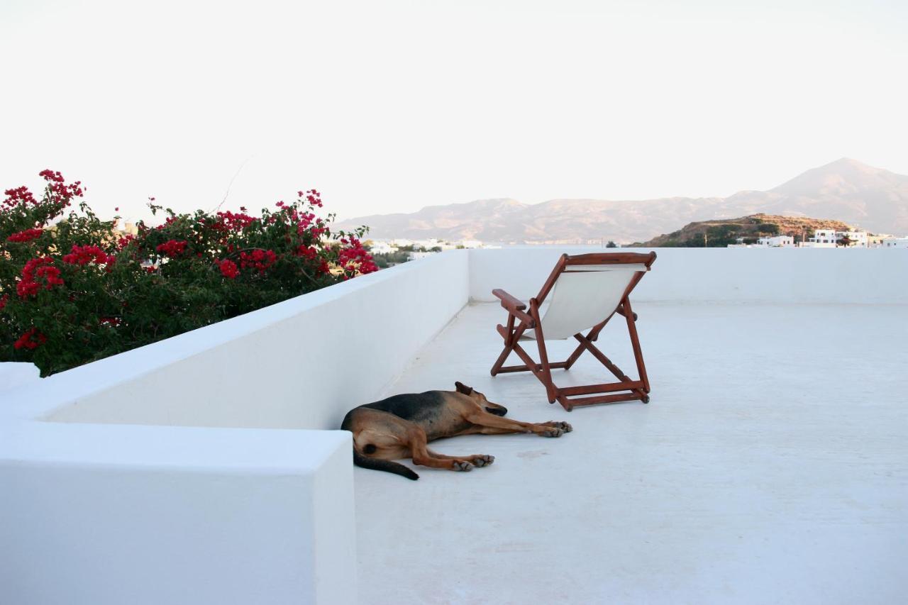 Hotel Prickly Pear House Plaka  Esterno foto
