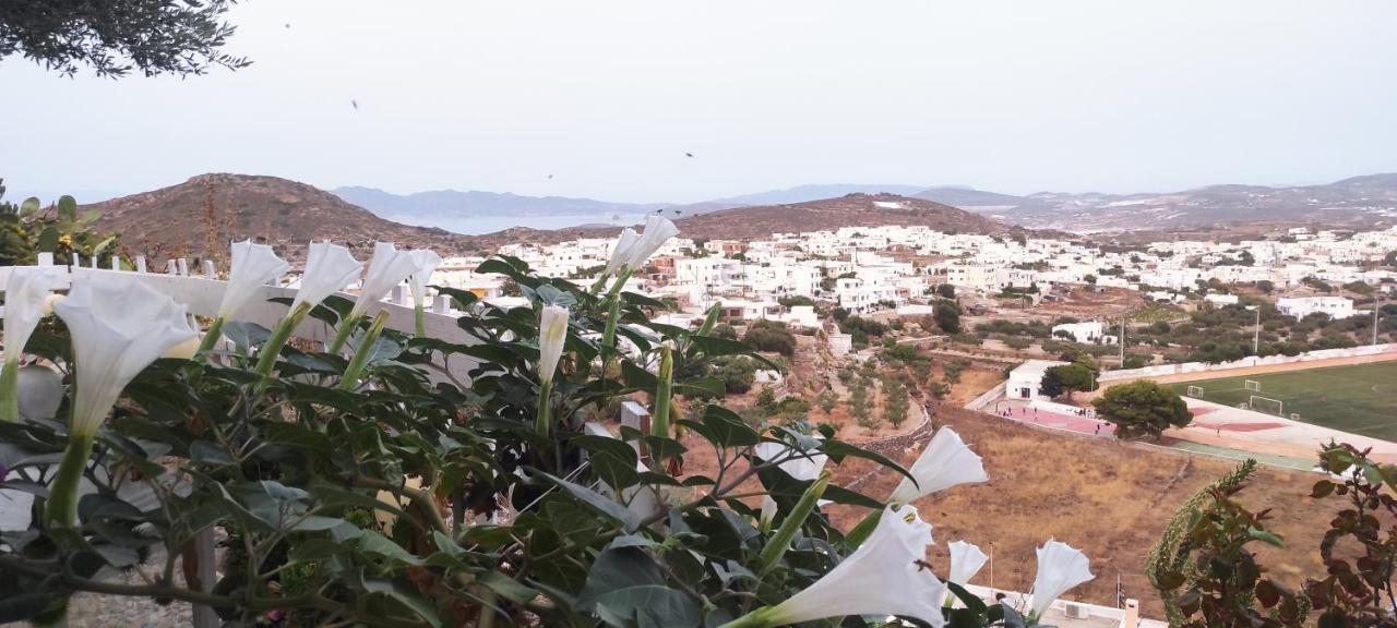 Hotel Prickly Pear House Plaka  Esterno foto