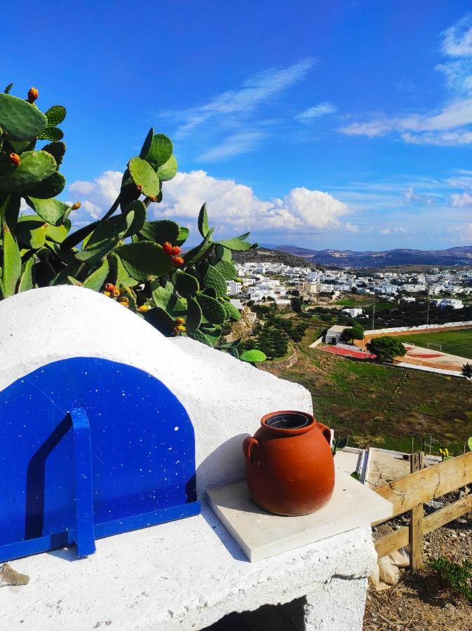 Hotel Prickly Pear House Plaka  Esterno foto