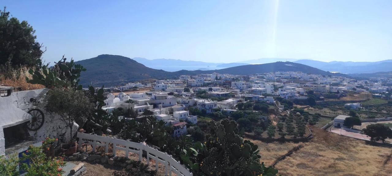 Hotel Prickly Pear House Plaka  Esterno foto
